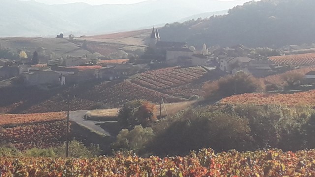 Route des vins du Beaujolais